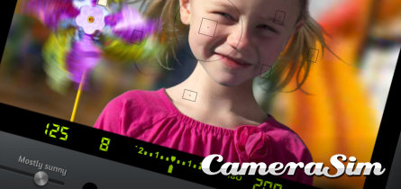 CameraSim