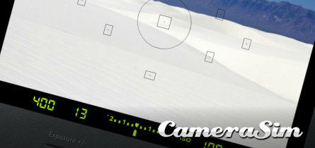 CameraSim